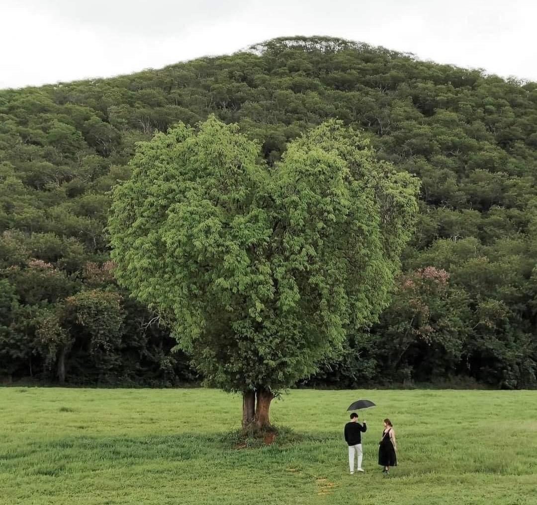 Allah’ım herşey o kadar güzel olsun ki kalbim aşk’tan yana kariyerim baştan sona yolunda gitsin.