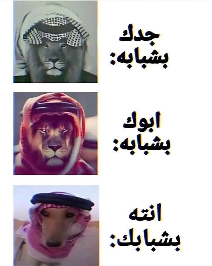 بتر الخواطر (@batrelkhawater) on Twitter photo 