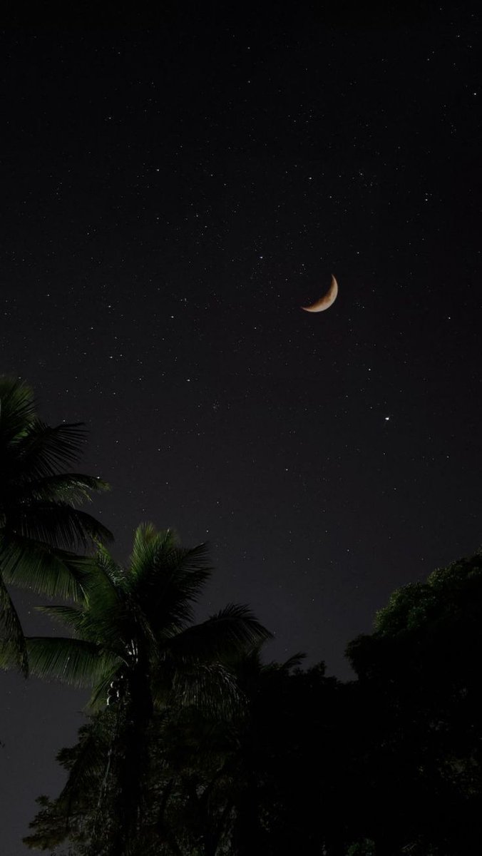 Yıldızlar topladım gökyüzünden, karanlıktan korkarım 

✨