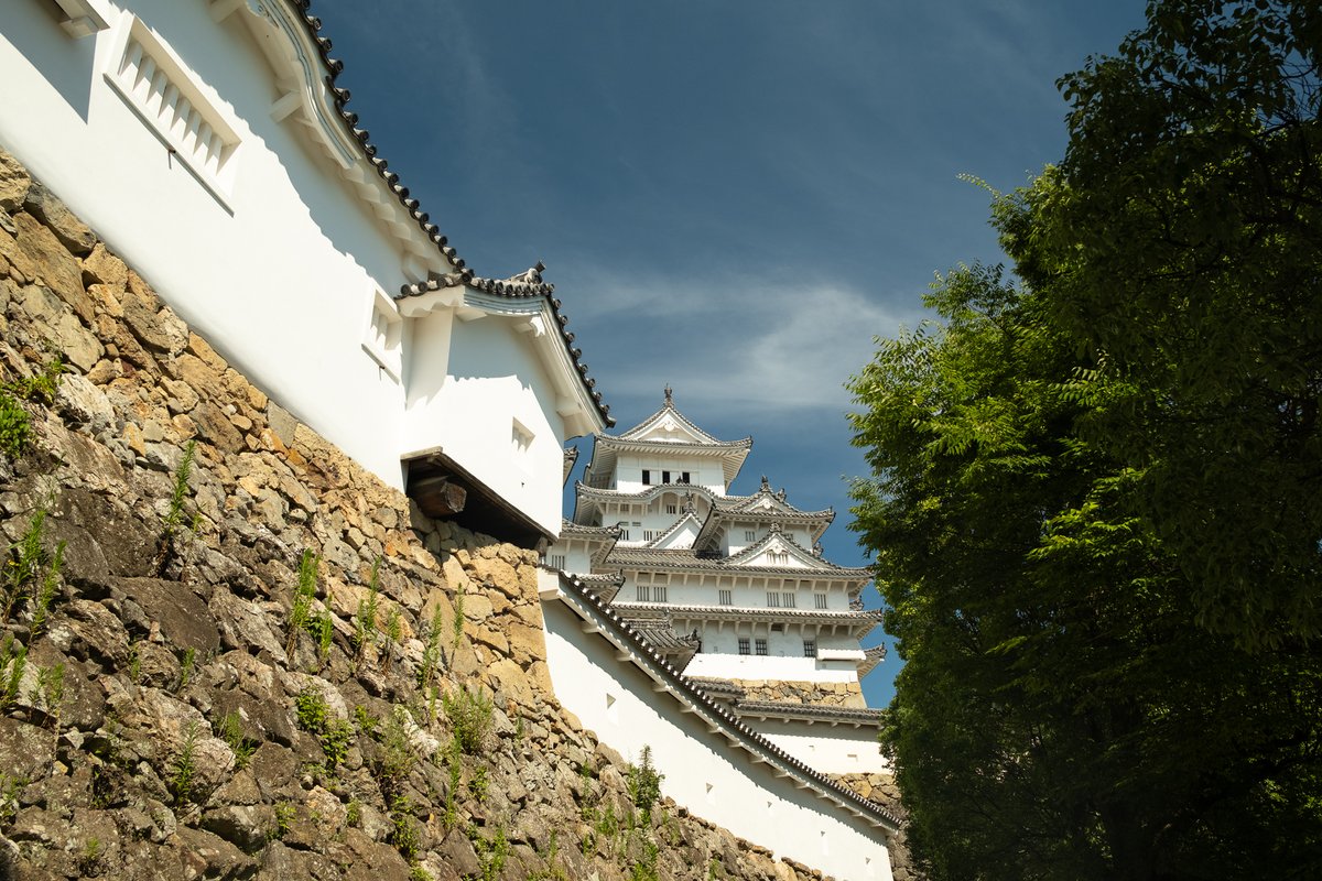 VicarFortunato's tweet photo. Himeji Castle
📍 Himeji, Japan
📷 Fujifilm X100VI

#himeji #japan #fujifilm #x100vi #streetphotography #travel #travelphotography #urbanexploration #unesco #unescoworldheritage #castle https://t.co/MbWhvzKMP9