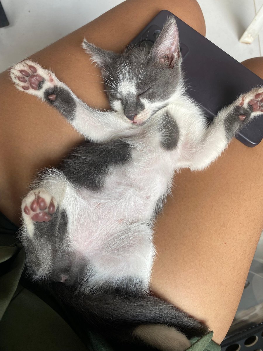 lina.🍒 tweet media