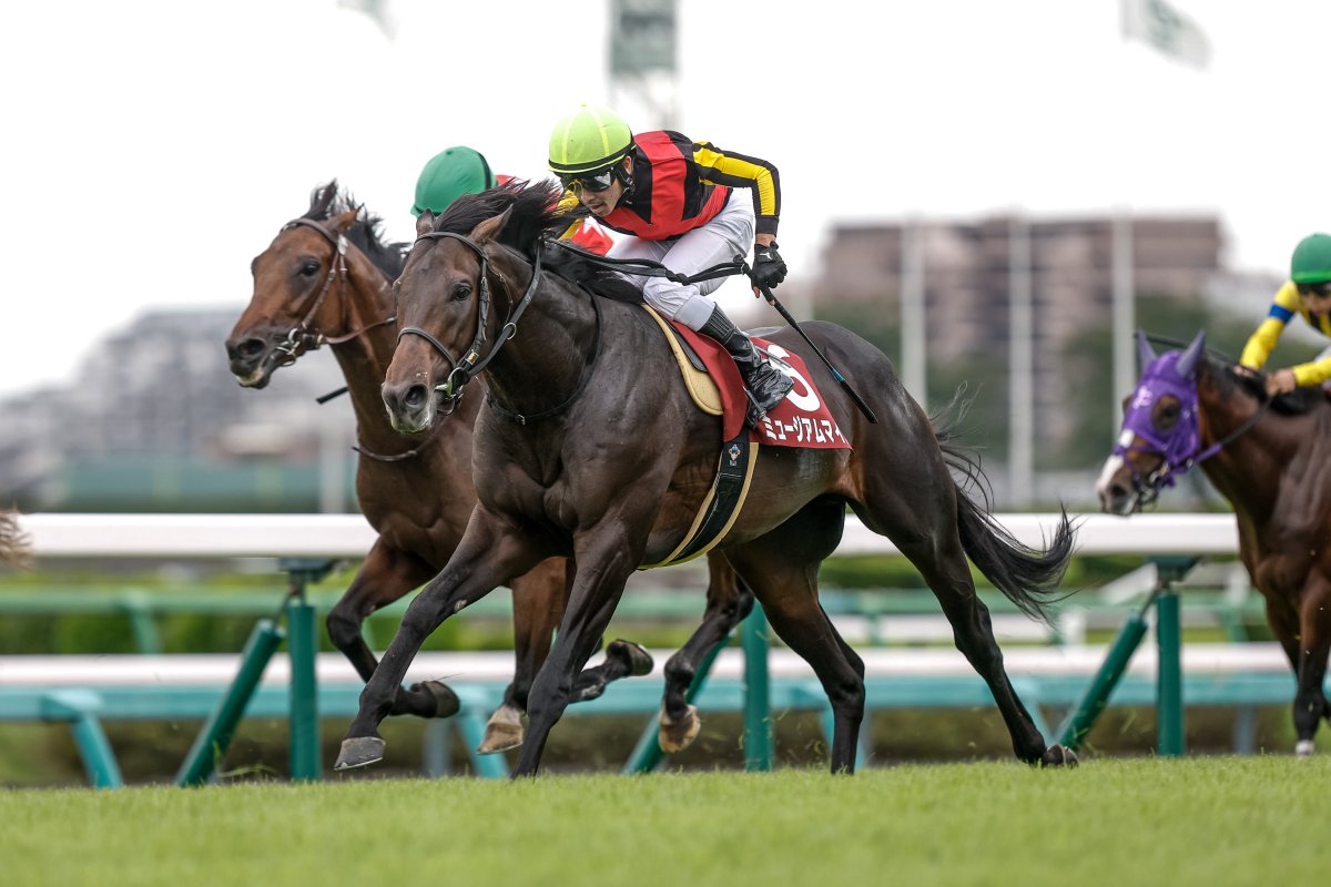競馬占いと作戦 【書き込みあり】 絶版本】競馬占い作戦 黄小娥 初版 - メルカリ