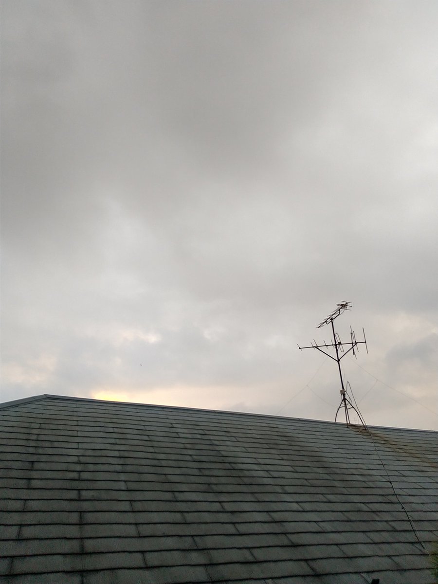 #ヒンヤリした朝…

縁側から…
おはようございます😊

9/16(火)05:51☁️

トイレに起こされる…

ヒンヤリ気持いい…夜中､雨が降ったのか？土が濡れてる気がする…

ジャスミンは昨日咲いてた花が散り…新たなところに蕾が…

今日も宜しくお願いします…

#ジャスミン #今空