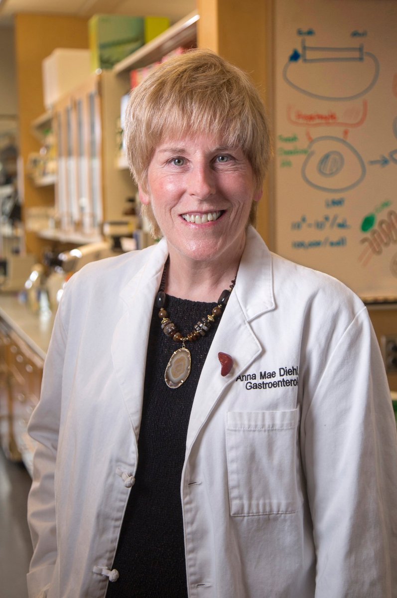 Hepatic Cell News tweet media