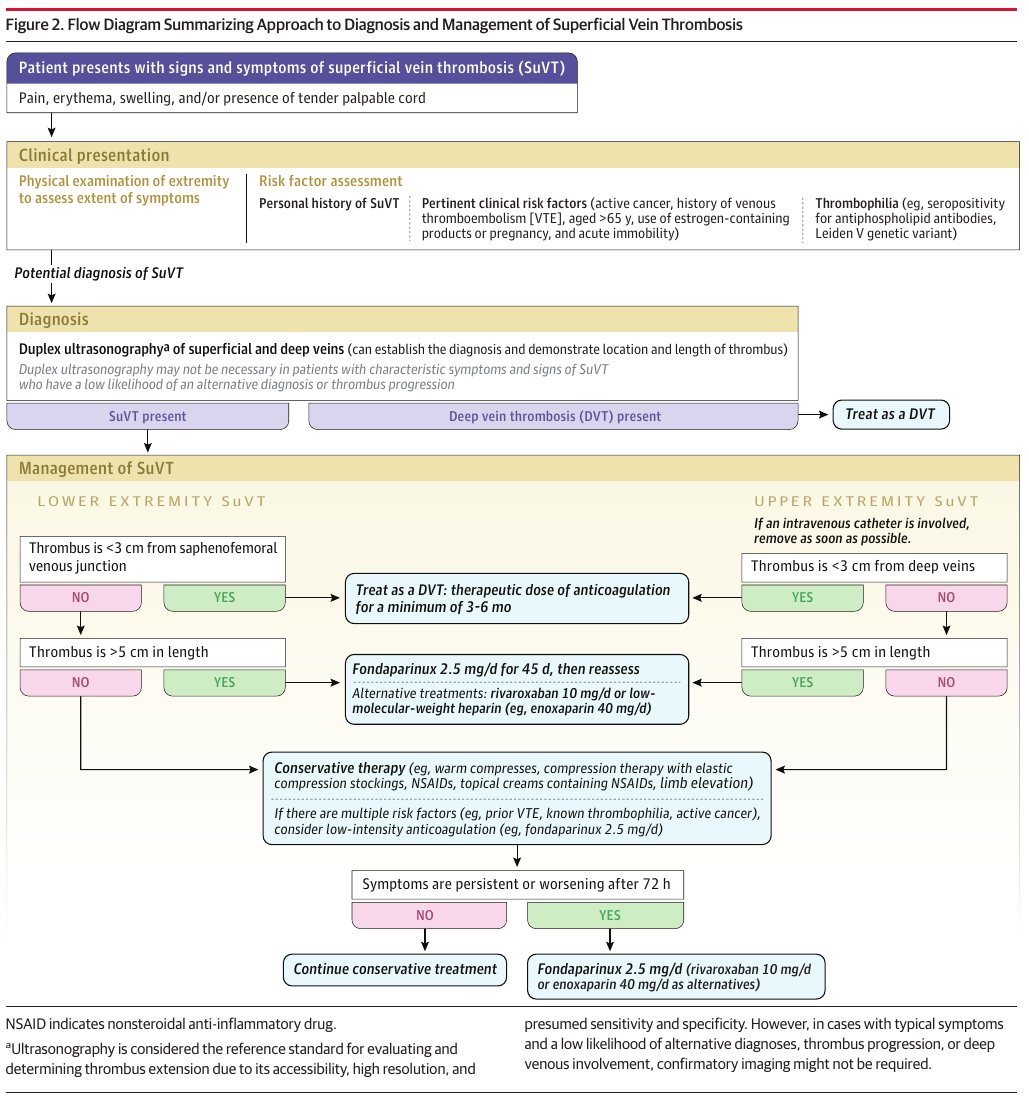 MHcsba's tweet photo. JAMA 2025: Trombosis venosa superficial
doi:10.1001/jama.2025.15222
#MedEd #MedTwitter #MedX https://t.co/uVCRhwB4lt