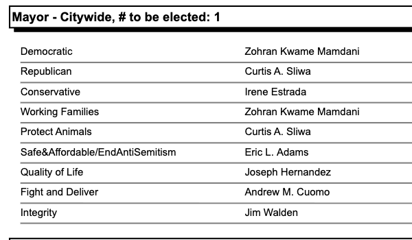 Now in print from the Board of Elections: seven candidates will be on the mayoral ballot.