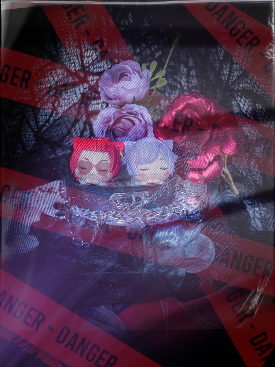 Kingじゃねぇの、
俺らはKingdomだわ

俺の価値は俺しか知らねぇ

俺の魂に値札をつけるな

変わらずに変われ
さぁアップデートしよ？
自分を信じる
それが最高の投資

#いれいす
#放課後アーカイブ