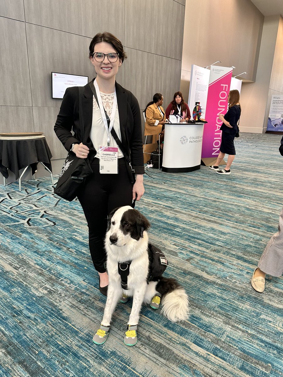 DrBuiPathology's tweet image. It was great to see therapy #dogs and #message sessions at #CAP25! Connecting with our non-human companions and prioritizing #wellness are important. @Pathologists @MoffittNews @FLPathologists @CAPA_comm