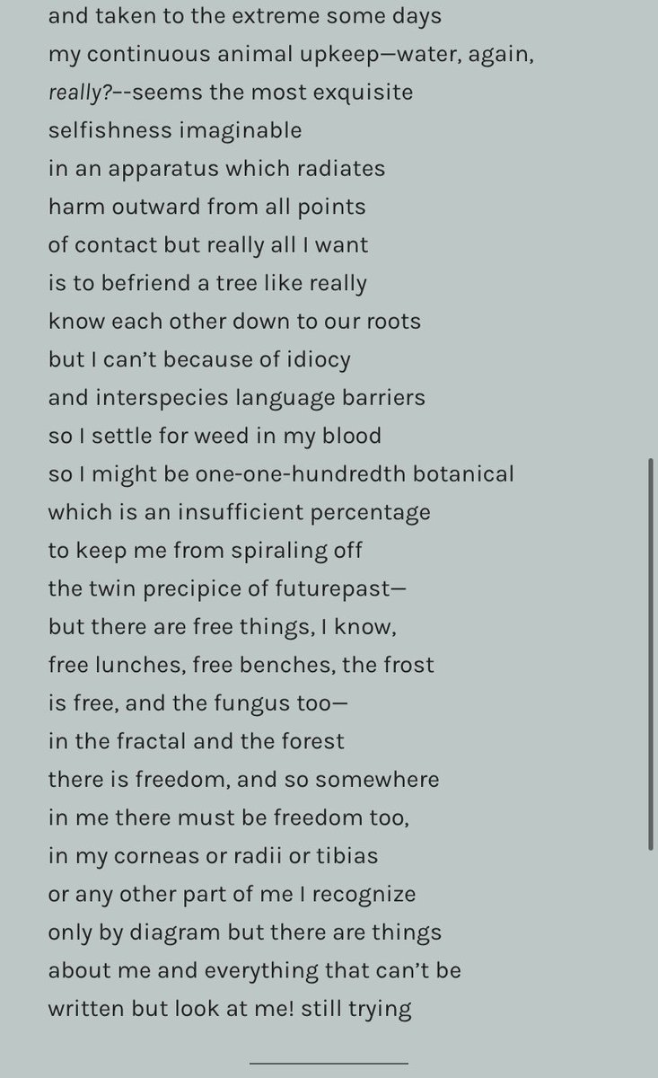 A new poem of mine up today in <a href="/thebeavermag/">Beaver Magazine!</a> ! 🌳