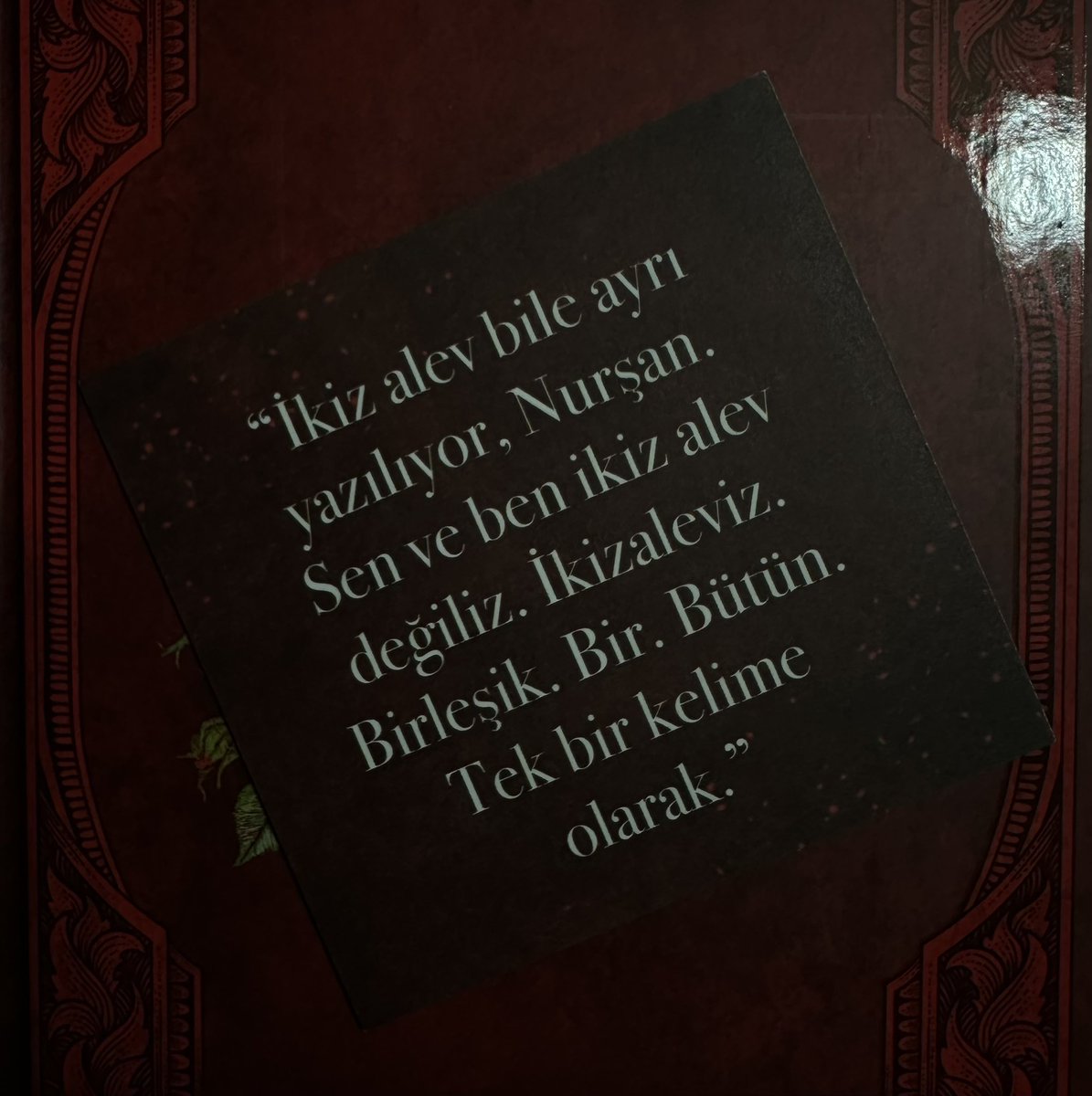 Onları o kadar çok özledim ki artık dayanamıyorum ve elimdeki kitaba ara verip İkizaleve başlıyorum🥹❤️‍🩹
VE EVİME GERİ DÖNMÜŞ GİBİ HİSSEDİYORUM…
#isserisi #ikizalev