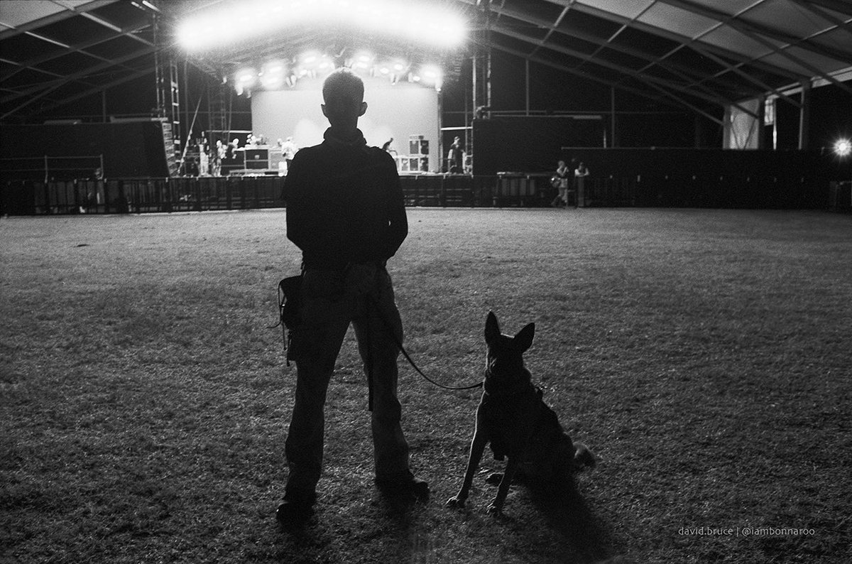 I am Bonnaroo tweet media