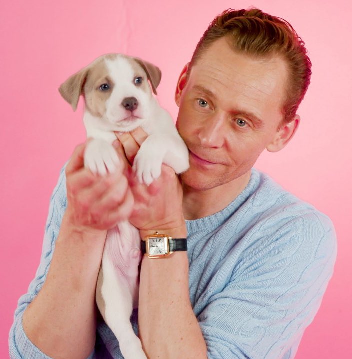 We moved to fast from Tom Hiddleston’s puppy interview