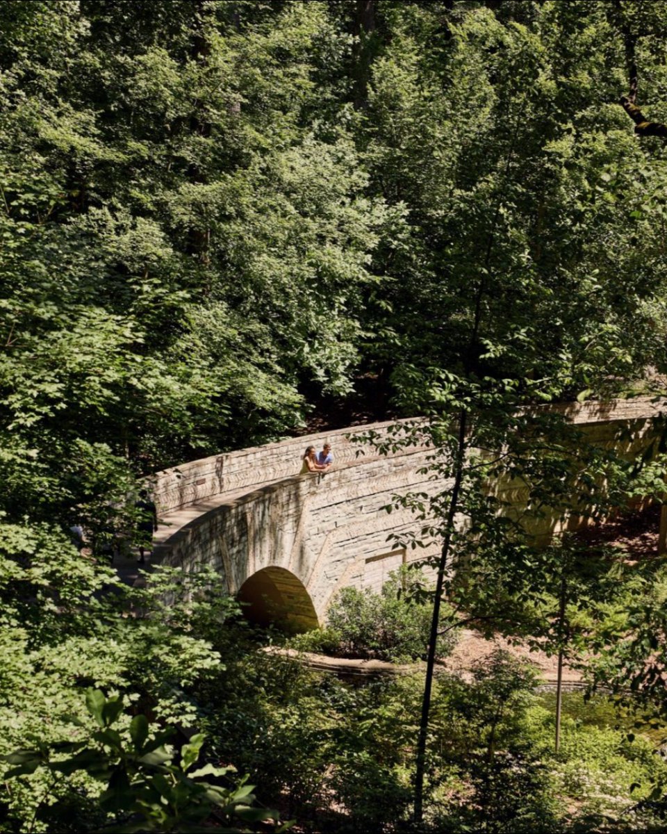 FSAtlanta's tweet image. Amid it all, peace blooms in the garden. Have you wandered the Atlanta Botanical Garden? Just minutes from our hotel, it’s a must-see escape. #FSAtlanta