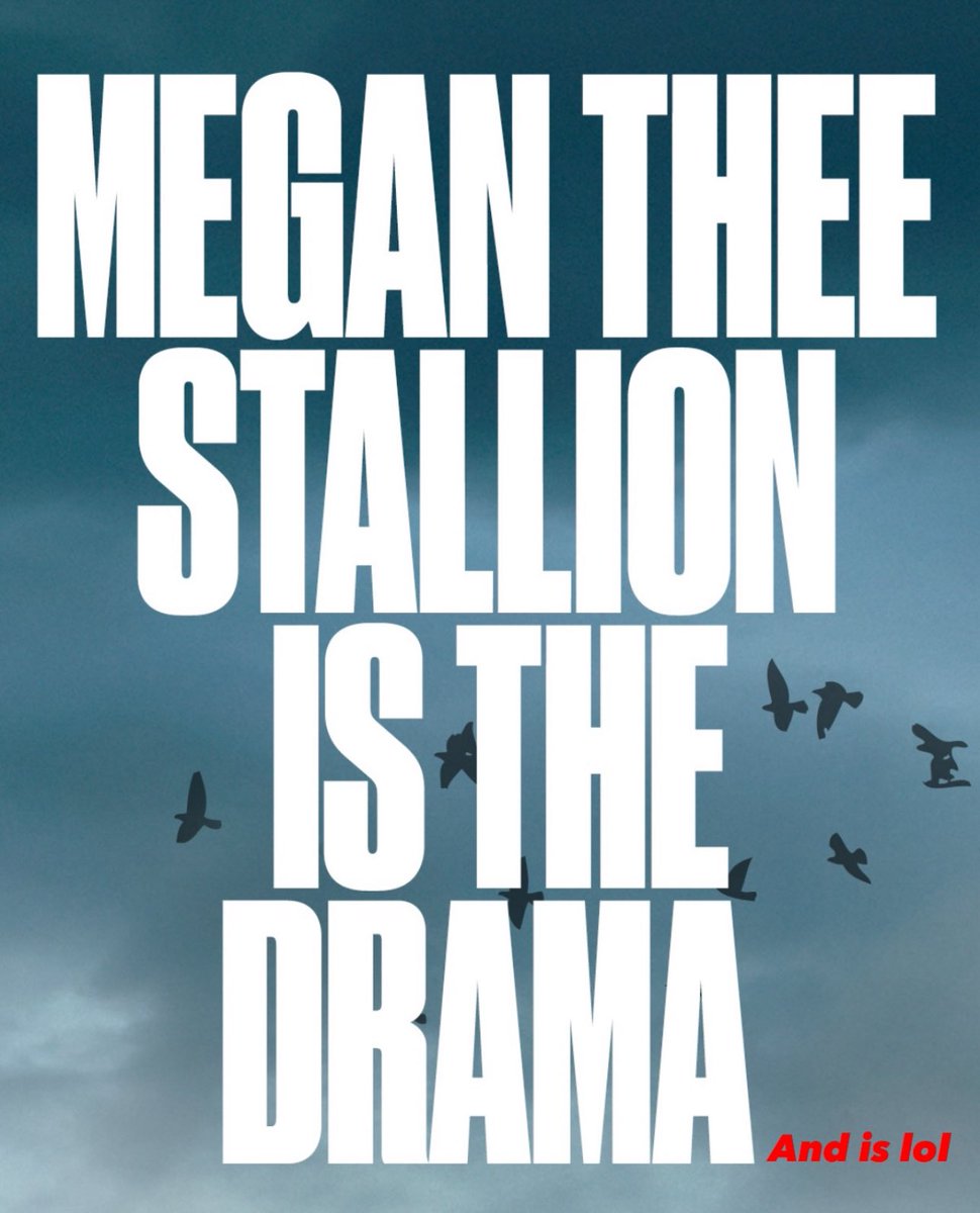 Stallion Hub tweet media