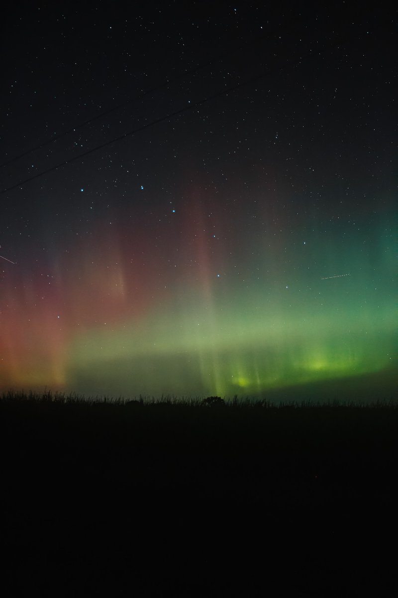 Mathias Ball+ﾟ*｡:ﾟ+ | illustrator open for work 🍊 tweet media