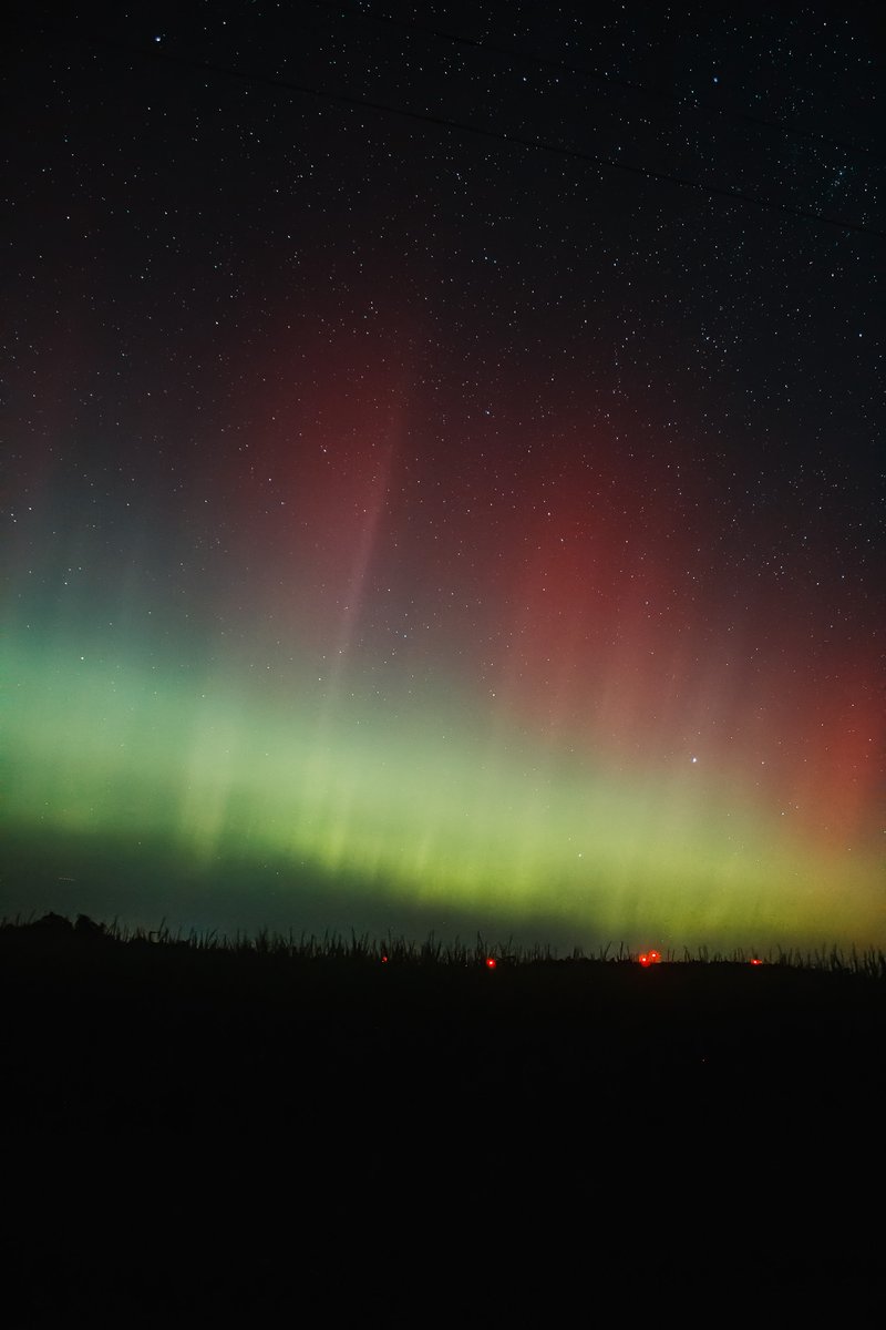 Mathias Ball+ﾟ*｡:ﾟ+ | illustrator open for work 🍊 tweet media