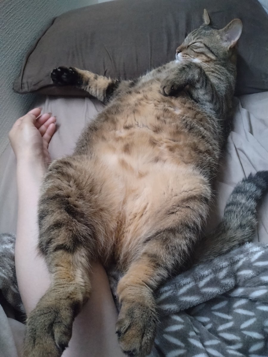 まぁ-ﾁｬﾝ (@makitan0110) / Posts / X