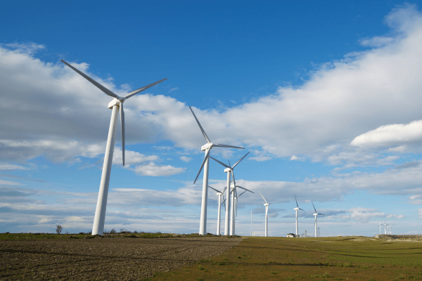 Catorce 6 tweet media