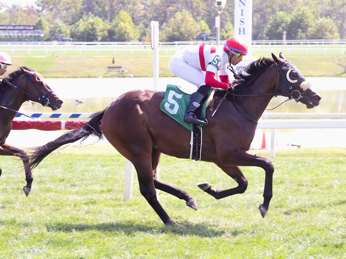 Round of applause for PARKES, May 2023 grad, who ran huge yesterday at <a href="/LaurelPark/">The Maryland Jockey Club, Inc.</a> to break his maiden on debut. 🏆 

Congratulations to the connections!

📸 Jim McCue - TMJC
<a href="/IsmerioV/">Ismerio Villalobos</a>
