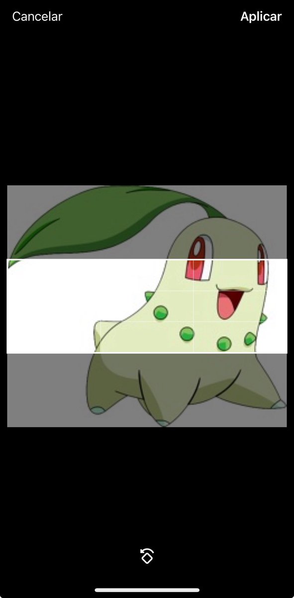 Memes Pokémon tweet media