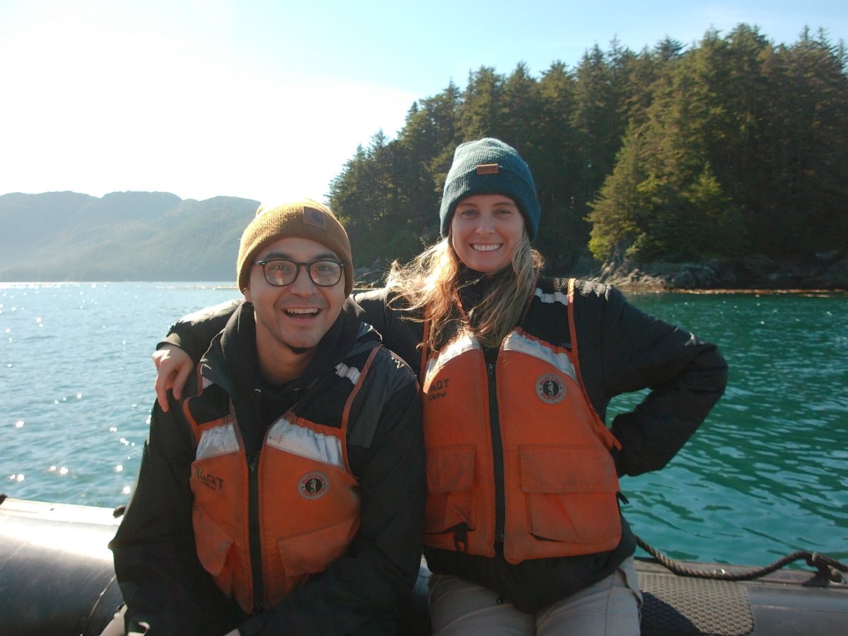 shelllkell's tweet image. 