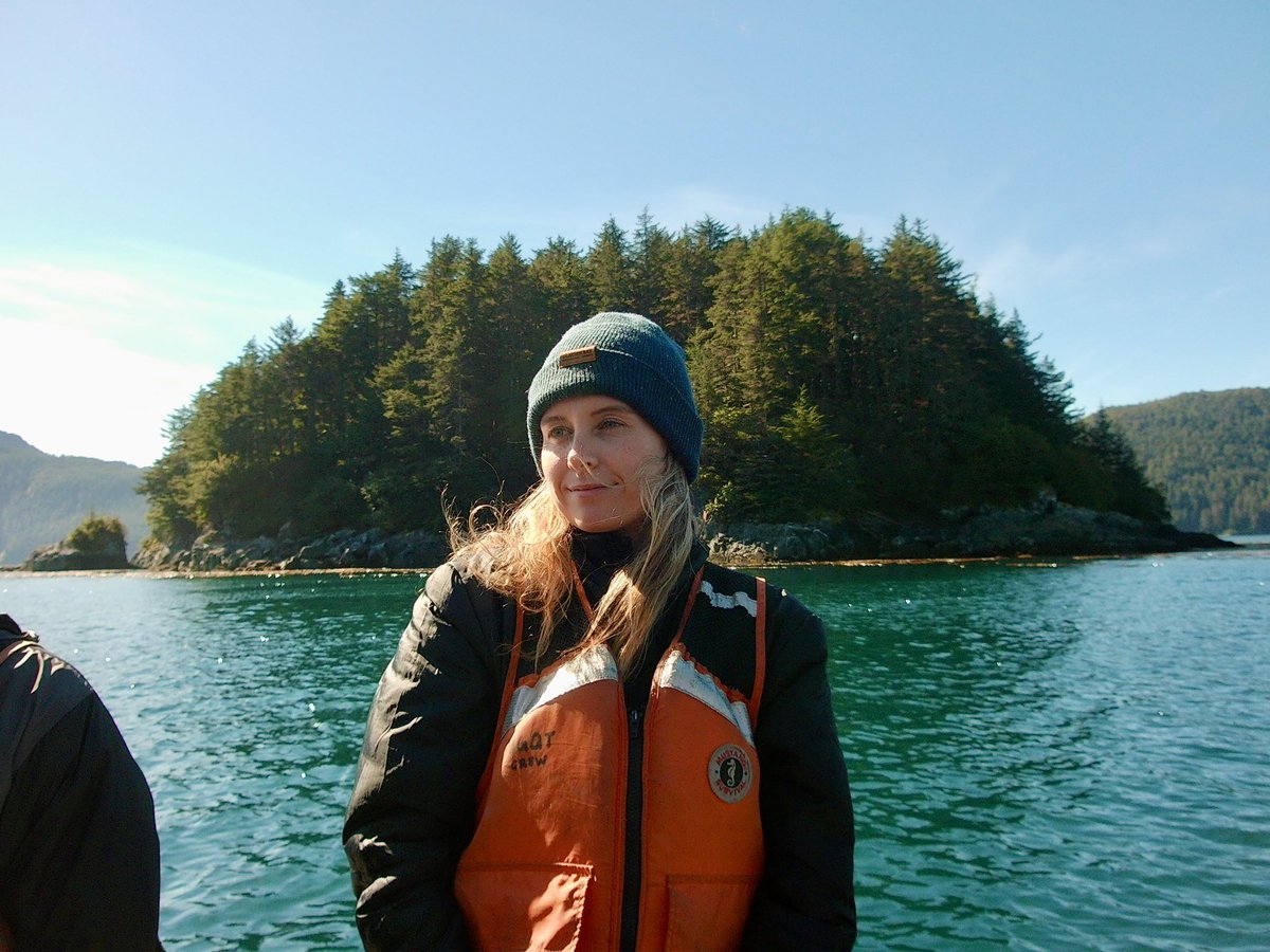 shelllkell's tweet image. 