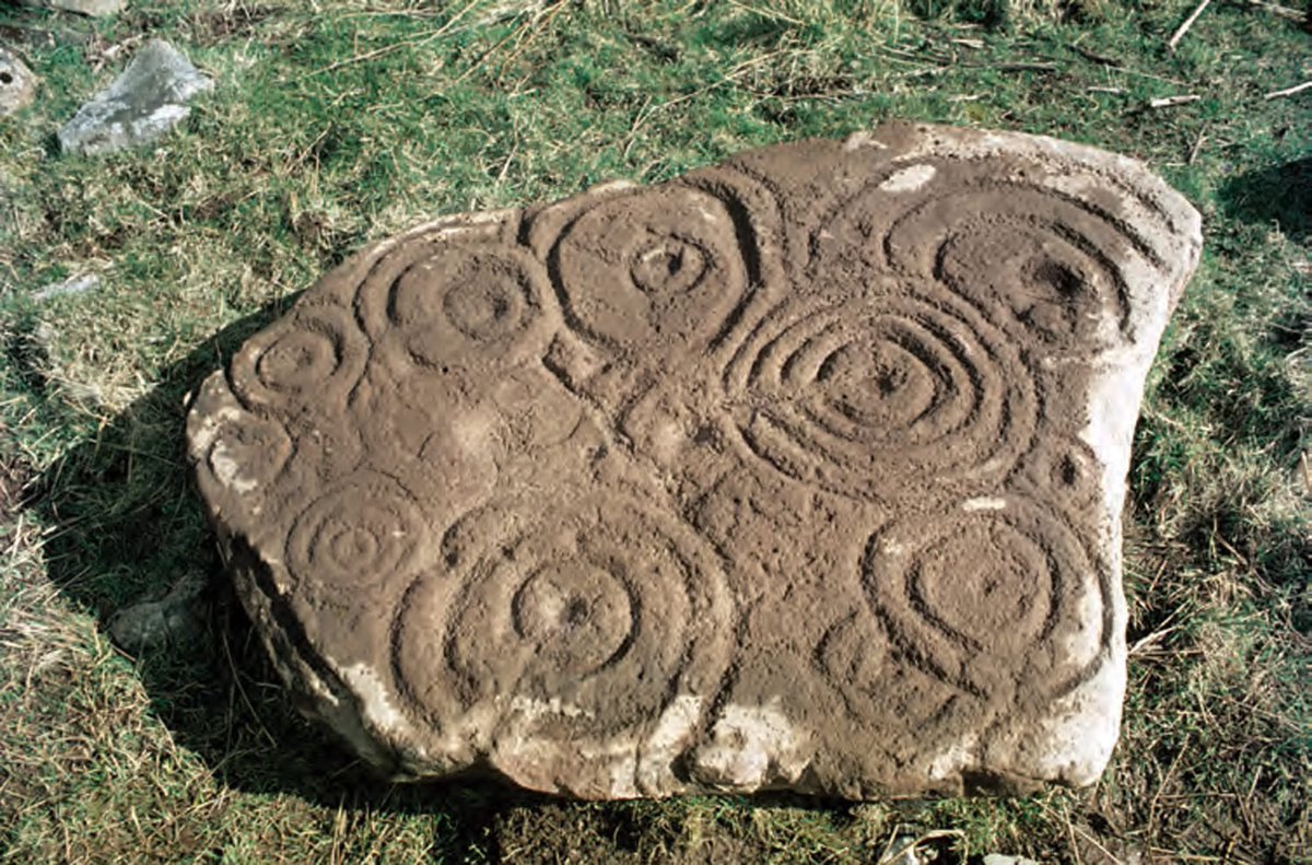 Ken Williams tweet media