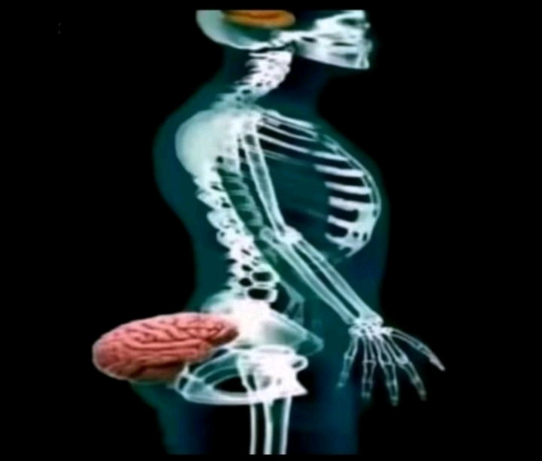 Rayan_1r51 tweet media