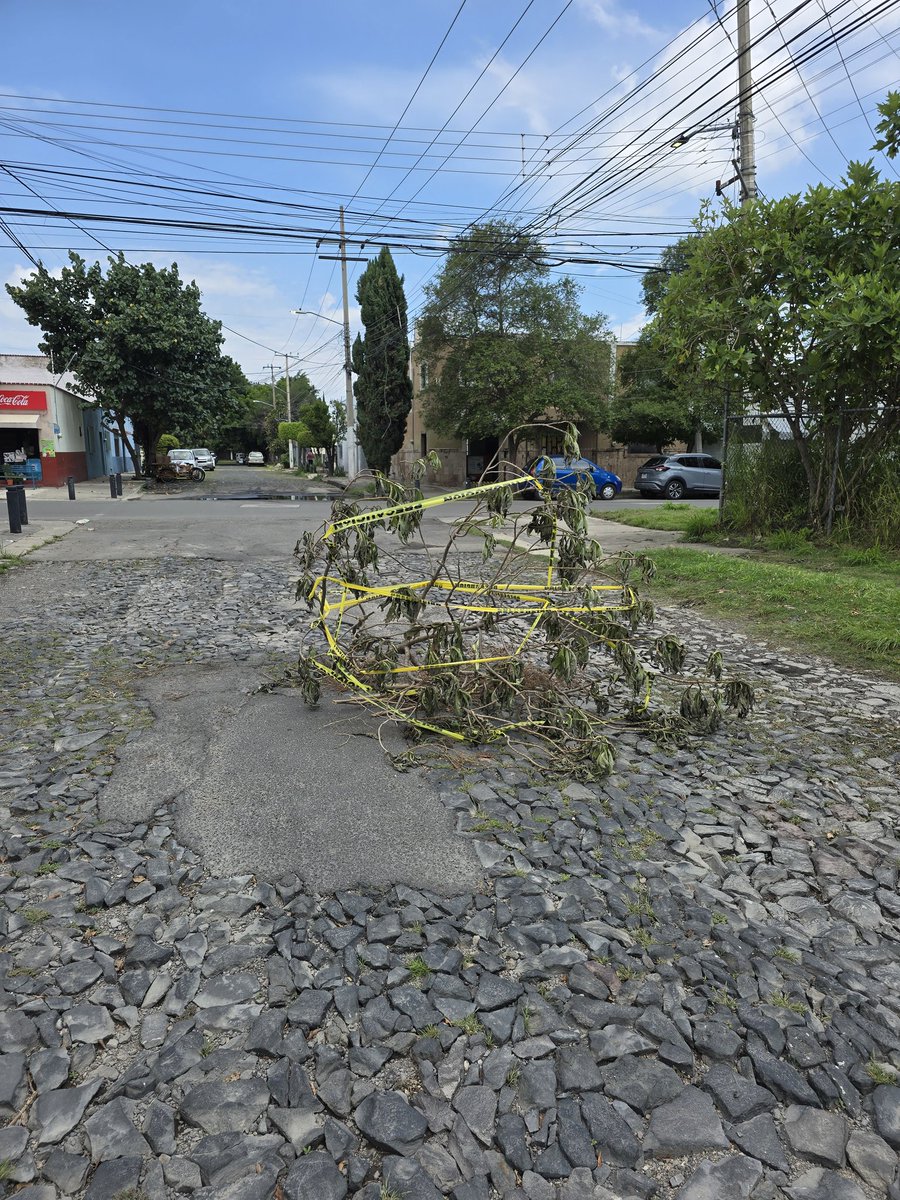 oscarde14's tweet photo. Socavon enorme en calle Tomas V. Gomez, entre Aurelio Ortega y Paulinl Navarro en la col los Maestros @Trafico_ZMG @ZapopanGob @Linea_Zapopan @MovilidadZap @siapagdl esta profundo y peligroso https://t.co/P9EYkMZeNq