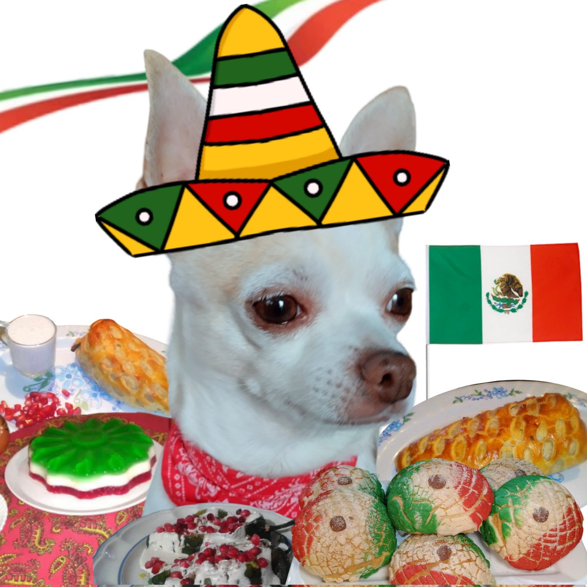 Kon100tt's tweet photo. Todos los mexicanos hoy 15 de Septiembre disfrazándose de mexicanos para gritar ¡VIVA MÉXICO! y comer comida mexicana en una noche mexicana en México 🇲🇽🥳💚🤍❤️
 
#15DeSeptiembre #VivaMexico #FiestasPatrias https://t.co/D5TY5fSS85