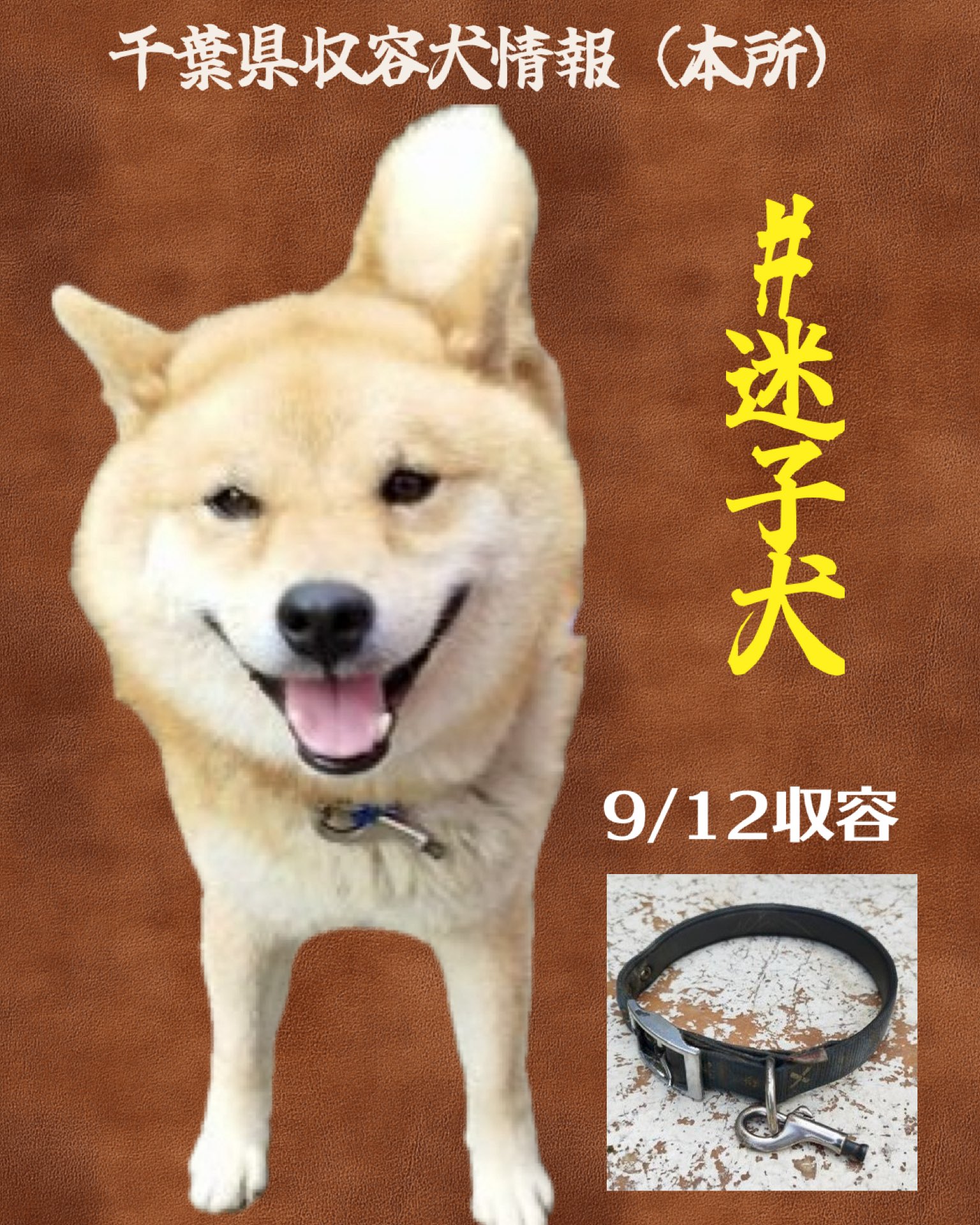 メル愛犬溺愛＠トレペ7/20！プロフ必読ページ メル愛犬溺愛＠トレペ7/20！プロフ必読様専用ページ