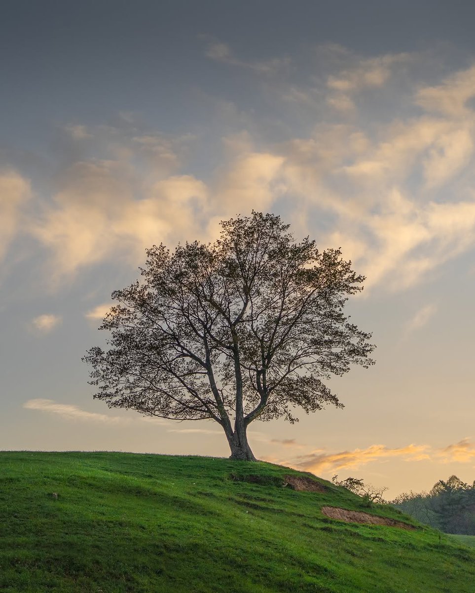 هر کس ز ما هر چه توانست کند و برد
ای بی نصیب مانده تو هم دل بکن برو
(جواد کاشانی)
📷 armin