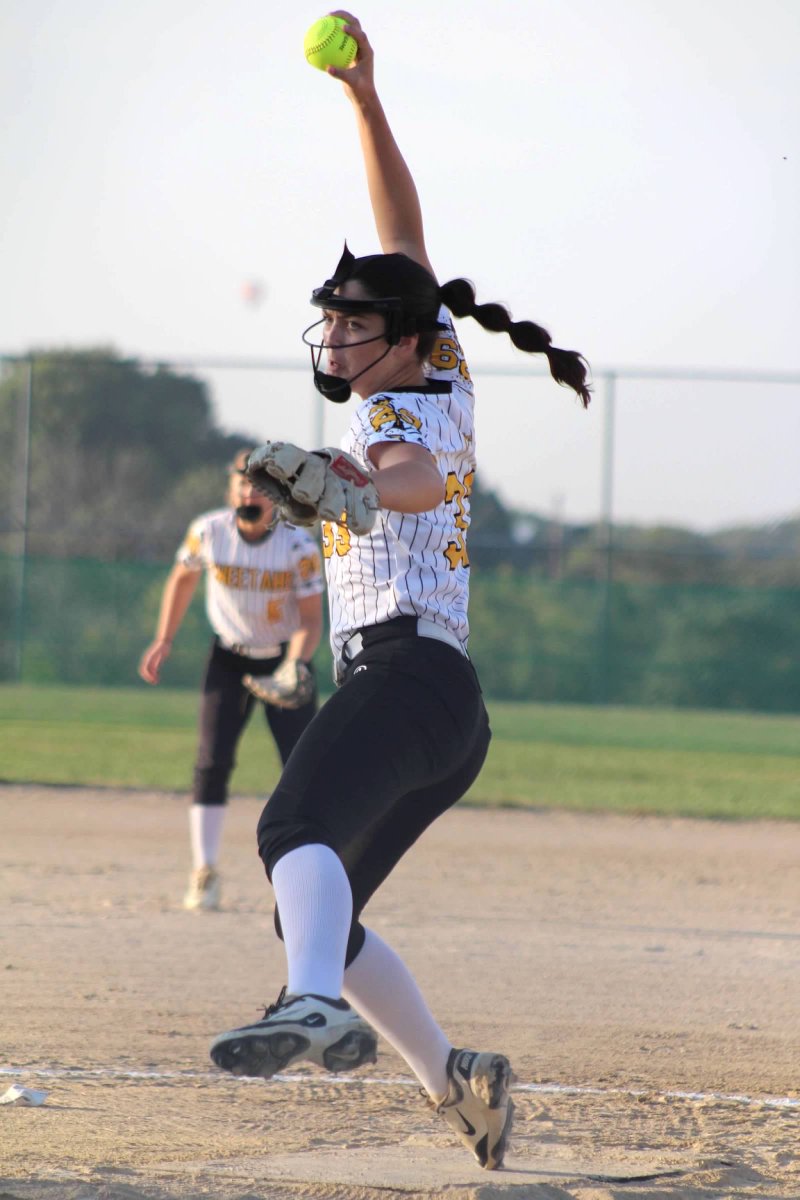 CRBlueDevilsSB's tweet photo. Congrats to Chloe Flanagan for earning the #13 spot on the Pitching Top Performers List at the PG Elite Iowa Tournament in Urbandale last weekend!  One of only three 2029s in the top 15!  Threw 11 strikeouts and also went 0.600 at the plate! 🥎  @chloeflanagan33 https://t.co/PdwdFkTkJk