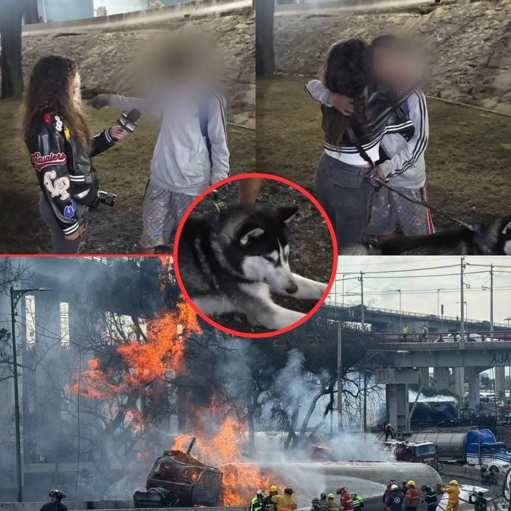 “MI ÚNICO APOYO ES MI PERRO… ÉL ME SALVÓ… FUE EL ÚNICO AMIGO QUE ME QUEDÓ” 😭🐶

Tras el suceso en #Iztapalapa, Armando perdió a sus 5 amigos, quienes vivían debajo del puente donde ocurrió todo.

Según cuenta, dos están muy delicados y aunque él quiere verlos no se lo permiten