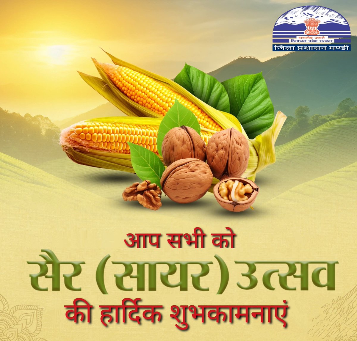 DC Mandi tweet media