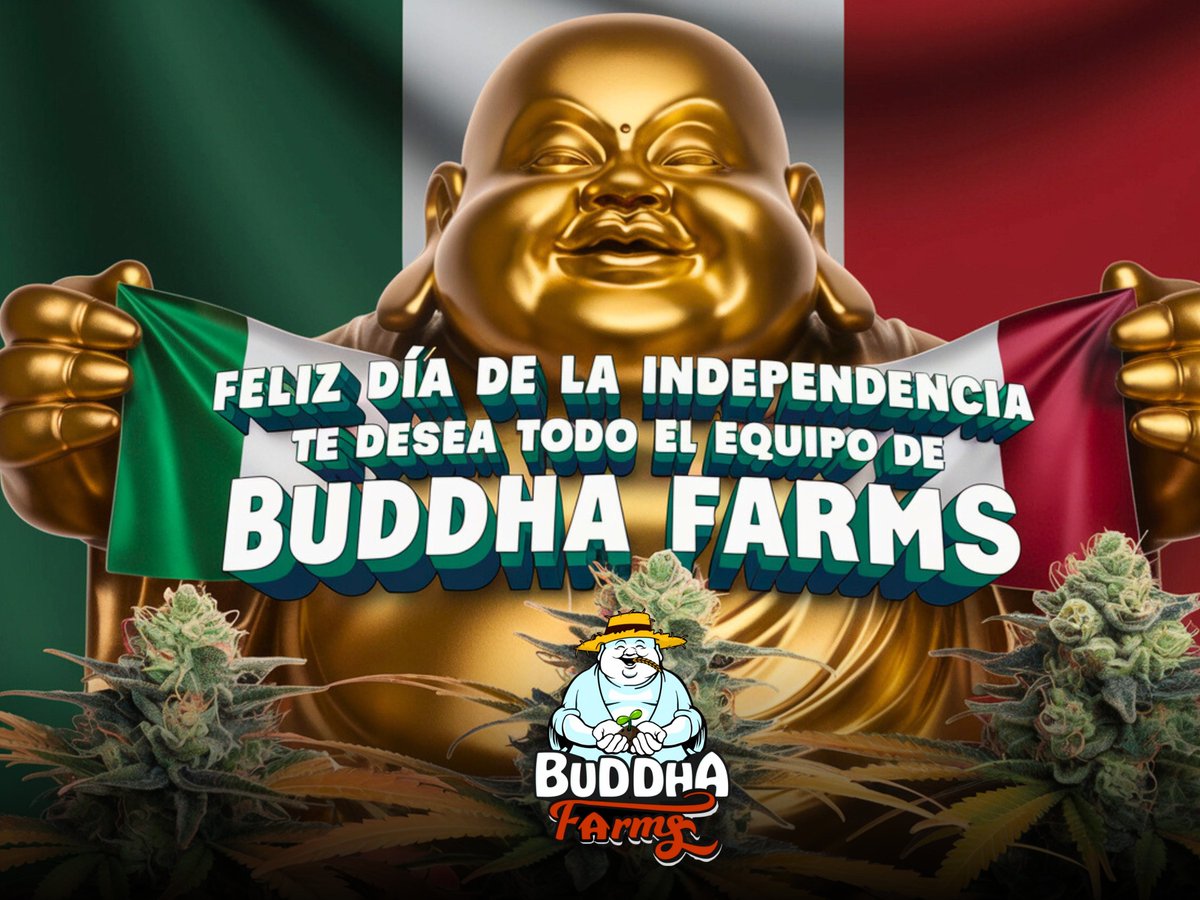 Buenas noches familia! Esperamos estén pasando un rico 15 de septiembre de forma chill y relajada! Recuerden dar el grito con la magia de buddha farms! Feliz 15! 🥦🔥🇲🇽⛩️
#Mexico #420community #cannabis