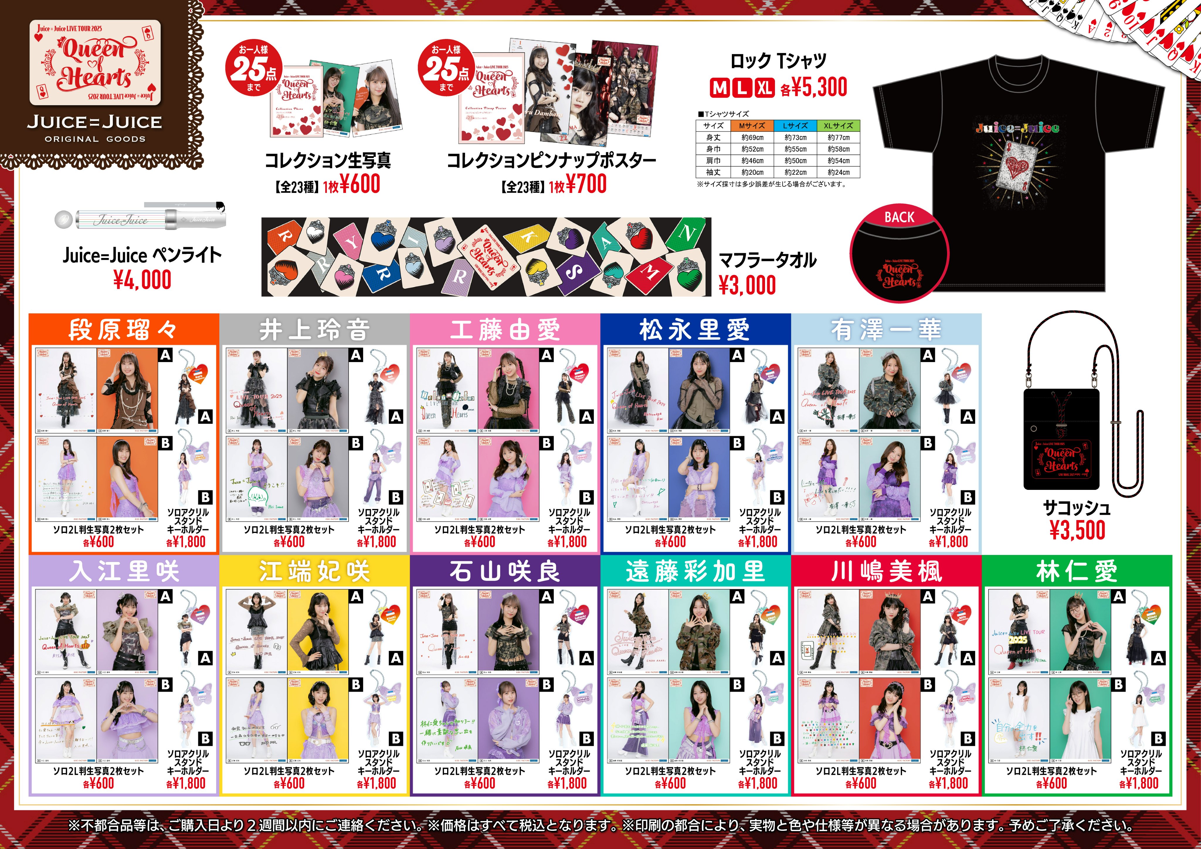 コンサートグッズ 新浜レオン ファーストコンサートツアー ～全てあげよう～ “凱旋