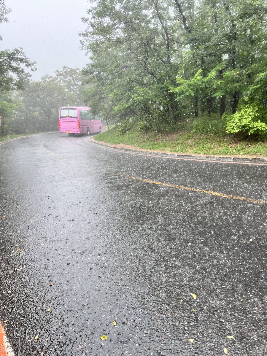 Bian_summer's tweet photo. 雨天爬个山 https://t.co/eJTHfrmXzf