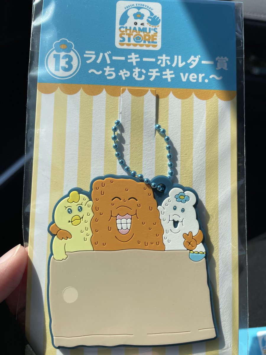 いぬを見る tweet media