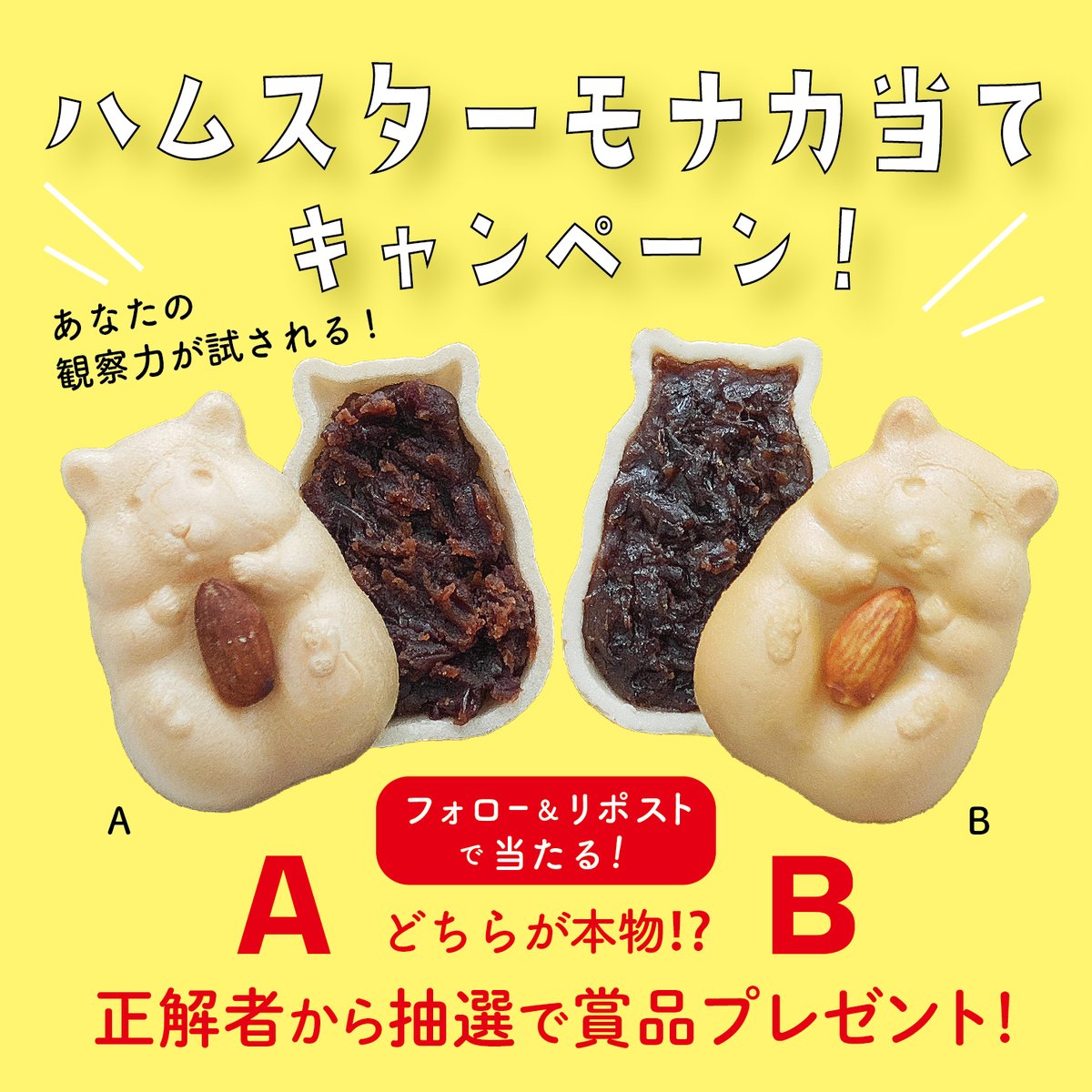ハムスターモナカ🐹京都駅&オンラインで販売中 tweet media