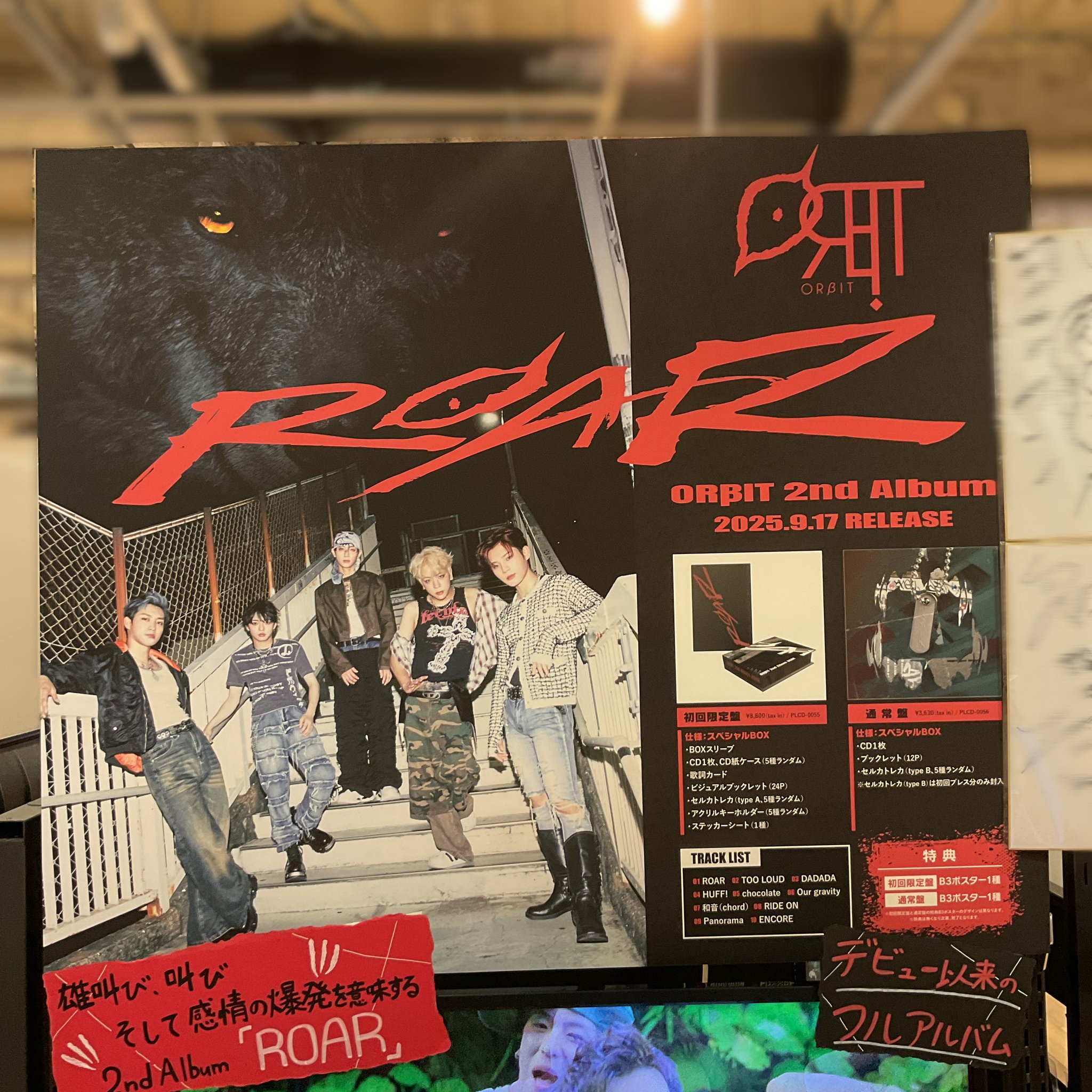 TSUTAYA EBISUBASHI (OSAKA) on X: 
