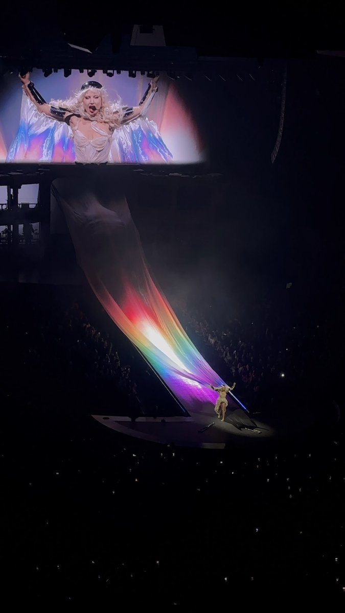 看完Gaga演唱会后，戒断反应了😭😭😭🏳️‍🌈