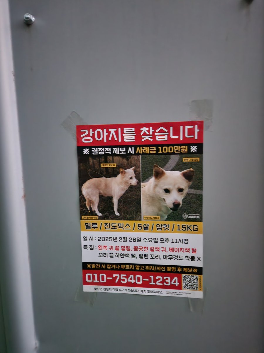 soonmi_dog's tweet photo. 남의 개 오프리쉬한 결과
-1년반 애지중지 키운 강아지와 생이별
(밀루는 약물치료 받으며 불안증 극복중이었고, 호전된 상태였어요..)
-돈 수백만원 이상 지출
-대인관계 단절, 개찾는데 시간 소비
-실종지역으로 ‼️이직 및 이사‼️
유실자가 반성한다고 밀루가 돌아오는 것도 아니죠 #밀루를찾습니다 https://t.co/TfC4QihyYk