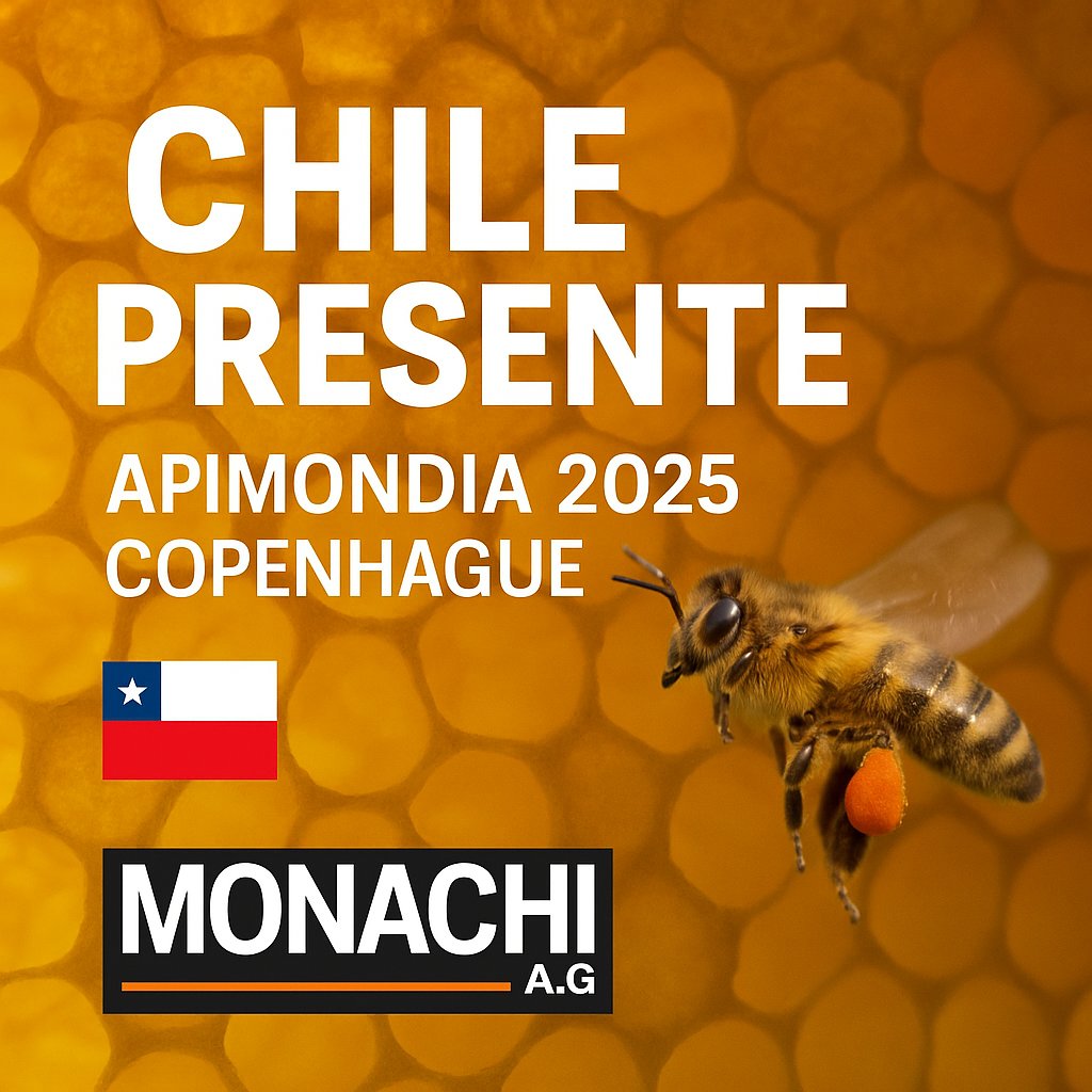 ChileMonachi's tweet photo. 🐝 CHILE PRESENT AT APIMONDIA 2025 🐝🇨🇱

Chilean beekeeping steps onto the world stage with pride and determination.
The National Beekeepers’ Movement of Chile – MONACHI will be present at Apimondia 2025, Copenhagen, 

🌍🐝 Chilean beekeeping does not only produce honey: https://t.co/gj8kNWeQQk