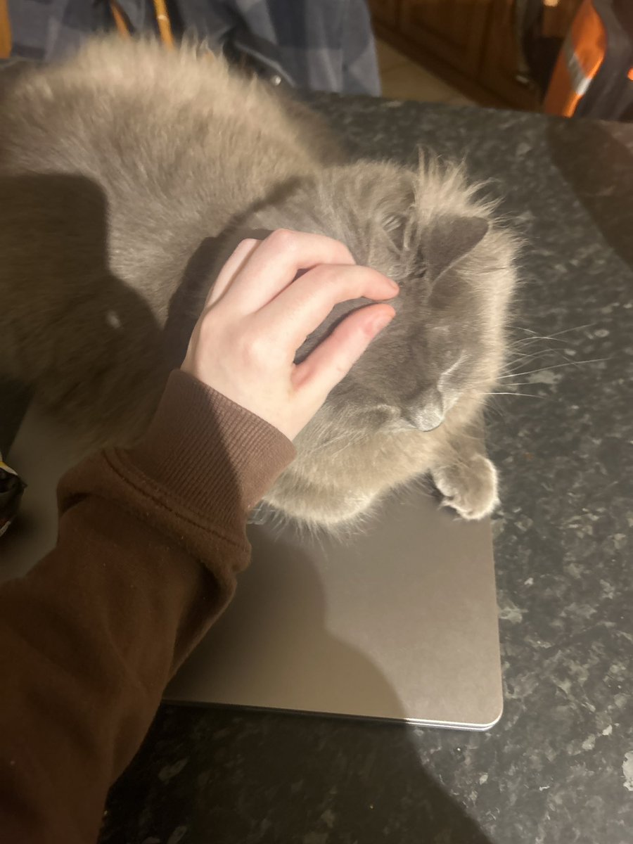 petting u