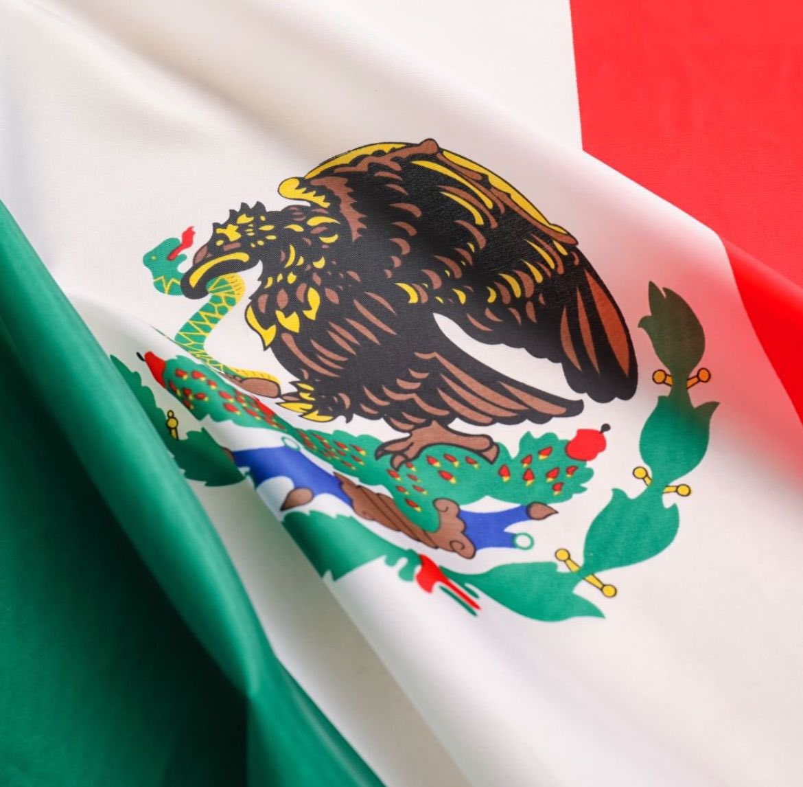 ¡Vivan las madres buscadoras!

¡Vivan las Fuerzas Armadas que sí protegen a los mexicanos!

¡Viva la libertad de expresión que está en riesgo! 

¡Viva la transparencia y la rendición de cuentas!

¡Vivan los mexicanos que luchan todos los días por sacar a su familia adelante!