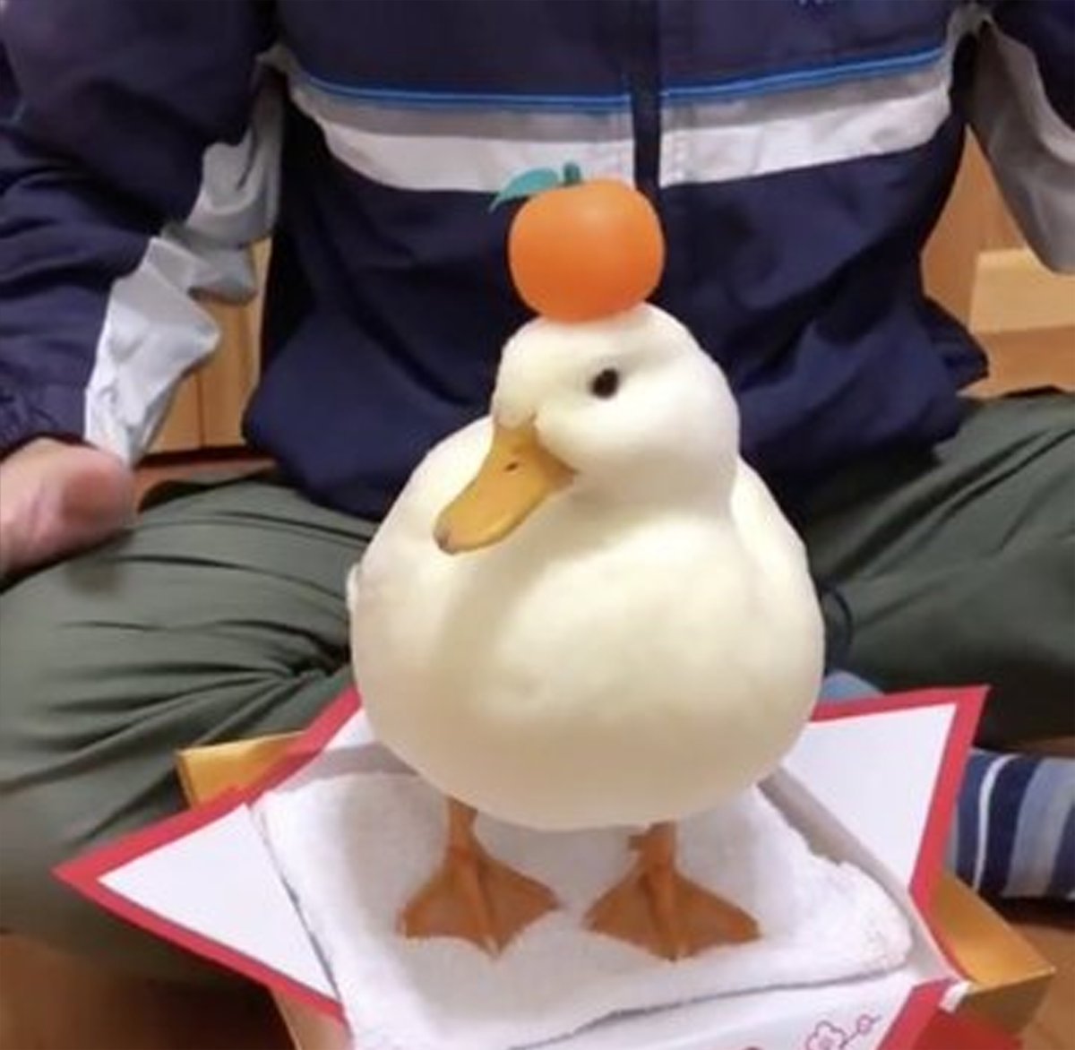 Quiero volver dibujar Ducktales, que lo extraño, mis papitos