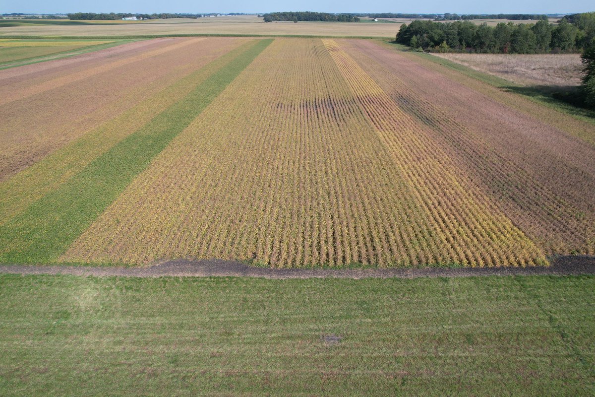 Soybean maturity by planting date plot.  Some interesting visuals, trying to figure out the best way to spread out the harvest window.