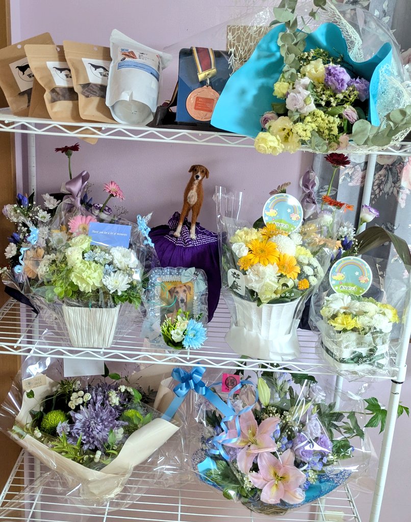 アザワクのぽっくん tweet media