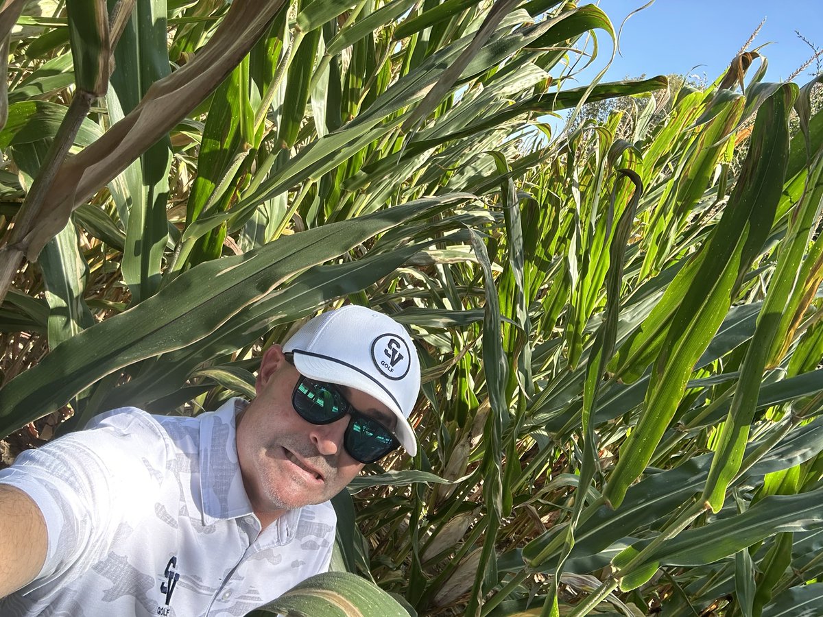 Saint Viator Boys Golf tweet media